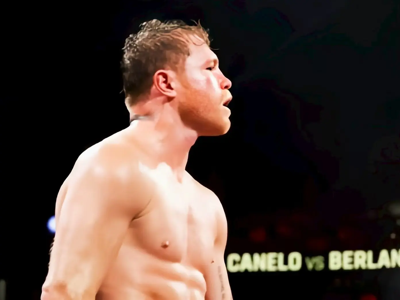 如果能够保 如果能够保