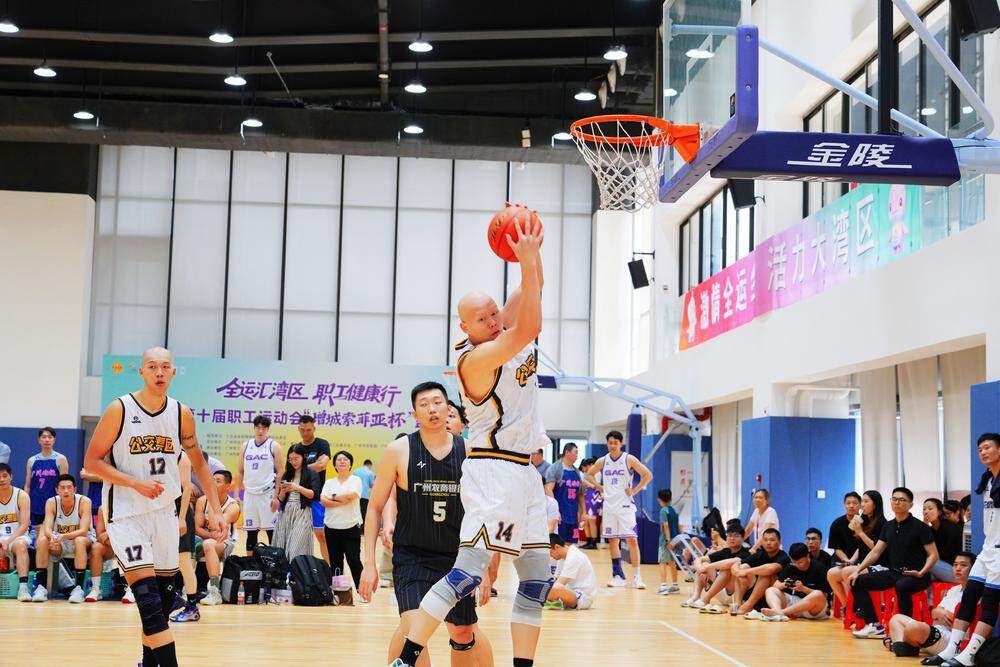 执委会指导, msn